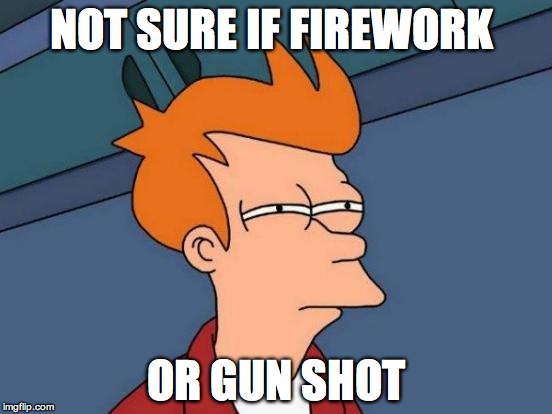 Futurama Fry | NOT SURE IF FIREWORK OR GUN SHOT | image tagged in memes,futurama fry,AdviceAnimals | made w/ Imgflip meme maker