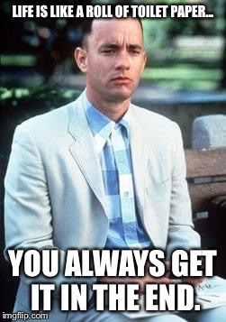 Forest gump | LIFE IS LIKE A ROLL OF TOILET PAPER... YOU ALWAYS GET IT IN THE END. | image tagged in forest gump | made w/ Imgflip meme maker