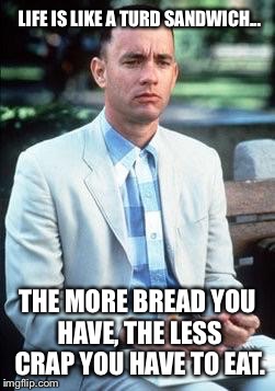 Forest gump | LIFE IS LIKE A TURD SANDWICH... THE MORE BREAD YOU HAVE, THE LESS CRAP YOU HAVE TO EAT. | image tagged in forest gump | made w/ Imgflip meme maker