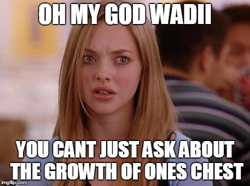 OMG Karen Meme | OH MY GOD WADII YOU CANT JUST ASK ABOUT THE GROWTH OF ONES CHEST | image tagged in memes,omg karen | made w/ Imgflip meme maker