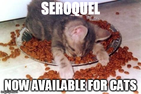 SEROQUEL NOW AVAILABLE FOR CATS | made w/ Imgflip meme maker