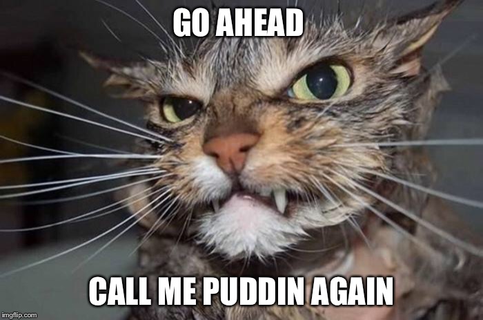 GO AHEAD CALL ME PUDDIN AGAIN | made w/ Imgflip meme maker
