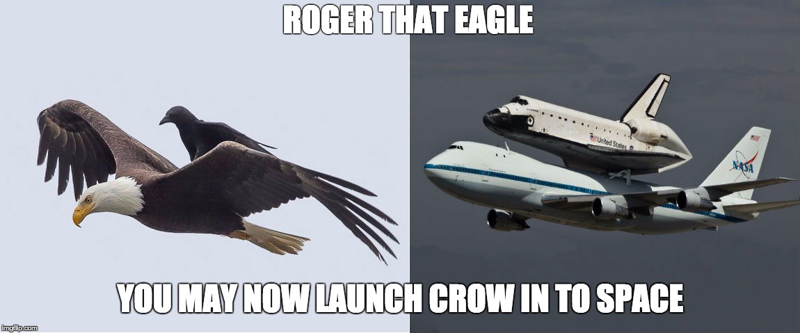 ROGER THAT EAGLE YOU MAY NOW LAUNCH CROW IN TO SPACE | made w/ Imgflip meme maker