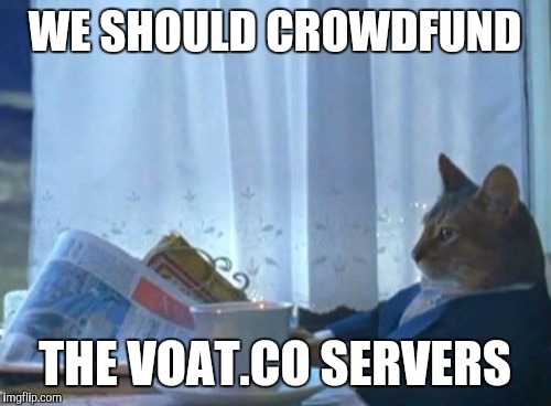 I Should Buy A Boat Cat Meme | WE SHOULD CROWDFUND THE VOAT.CO SERVERS | image tagged in memes,i should buy a boat cat,AdviceAnimals | made w/ Imgflip meme maker