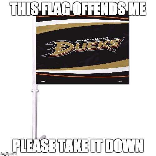 THIS FLAG OFFENDS ME PLEASE TAKE IT DOWN | made w/ Imgflip meme maker