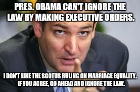 PRES. OBAMA CAN'T IGNORE THE LAW BY MAKING EXECUTIVE ORDERS. I DON'T LIKE THE SCOTUS RULING ON MARRIAGE EQUALITY.  IF YOU AGREE, GO AHEAD AN | image tagged in ted cruz | made w/ Imgflip meme maker