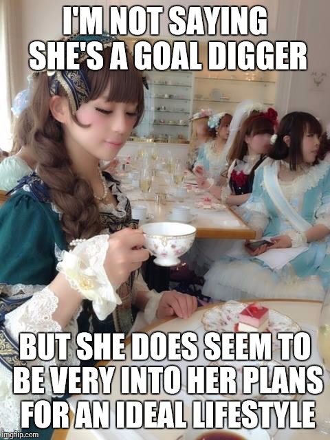 Someone got a better image for this? | I'M NOT SAYING SHE'S A GOAL DIGGER BUT SHE DOES SEEM TO BE VERY INTO HER PLANS FOR AN IDEAL LIFESTYLE | image tagged in none of my business lolita | made w/ Imgflip meme maker
