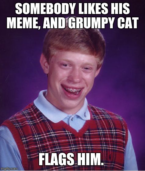 Bad Luck Brian Meme | SOMEBODY LIKES HIS MEME, AND GRUMPY CAT FLAGS HIM. | image tagged in memes,bad luck brian | made w/ Imgflip meme maker