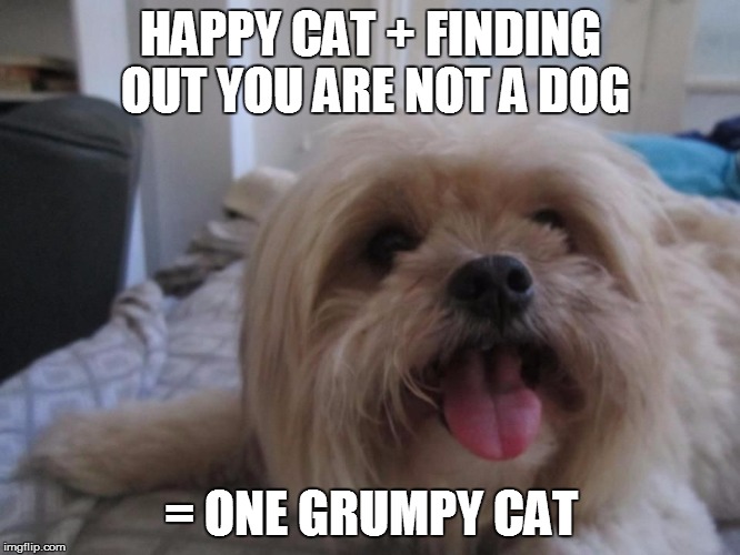 Happy dog | HAPPY CAT + FINDING OUT YOU ARE NOT A DOG = ONE GRUMPY CAT | image tagged in happy dog | made w/ Imgflip meme maker