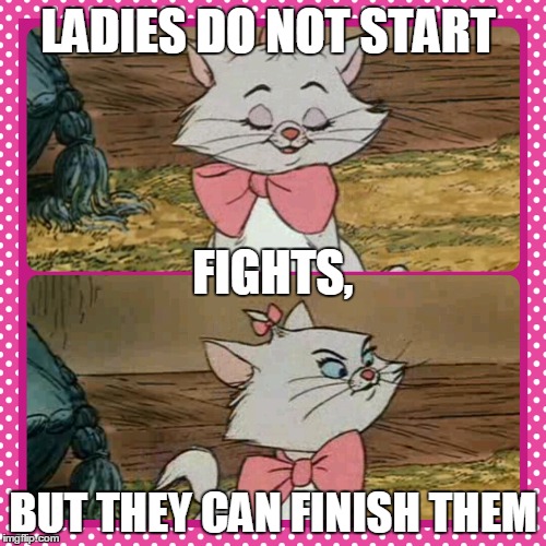 LADIES DO NOT START BUT THEY CAN FINISH THEM FIGHTS, | image tagged in ladies,fight | made w/ Imgflip meme maker