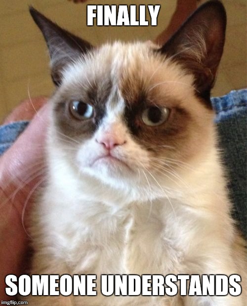 Grumpy Cat Meme | FINALLY SOMEONE UNDERSTANDS | image tagged in memes,grumpy cat | made w/ Imgflip meme maker