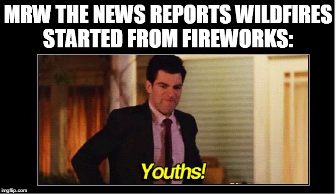 4th of July  | MRW THE NEWS REPORTS WILDFIRES STARTED FROM FIREWORKS: | image tagged in independence,fireworks,meme,funny,4th of july,new girl | made w/ Imgflip meme maker