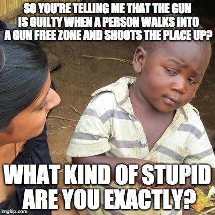 Smartest kid alive | SO YOU'RE TELLING ME THAT THE GUN IS GUILTY WHEN A PERSON WALKS INTO A GUN FREE ZONE AND SHOOTS THE PLACE UP? WHAT KIND OF STUPID ARE YOU EX | image tagged in memes,third world skeptical kid | made w/ Imgflip meme maker