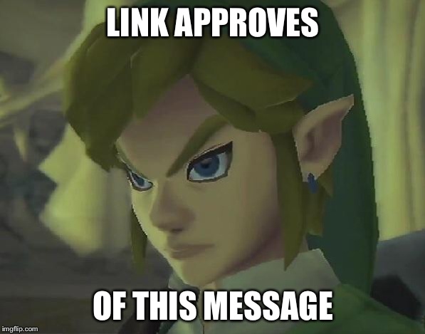 Angry Link | LINK APPROVES OF THIS MESSAGE | image tagged in angry link | made w/ Imgflip meme maker