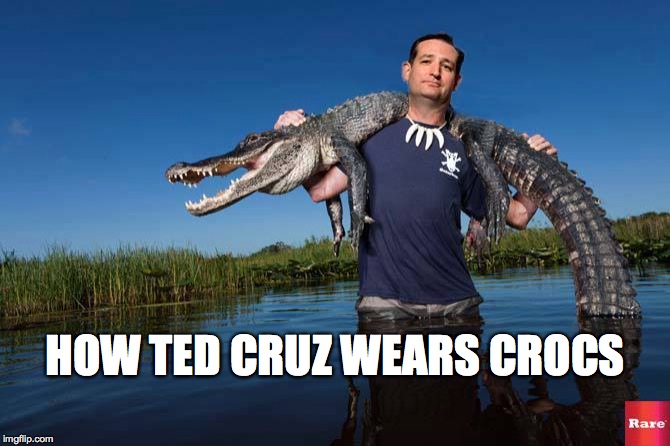 How Ted Cruz Wears Crocs | HOW TED CRUZ WEARS CROCS | image tagged in ted cruz,croc | made w/ Imgflip meme maker