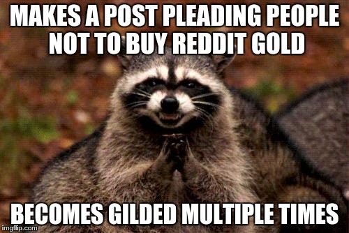 Evil Plotting Raccoon Meme | MAKES A POST PLEADING PEOPLE NOT TO BUY REDDIT GOLD BECOMES GILDED MULTIPLE TIMES | image tagged in memes,evil plotting raccoon | made w/ Imgflip meme maker