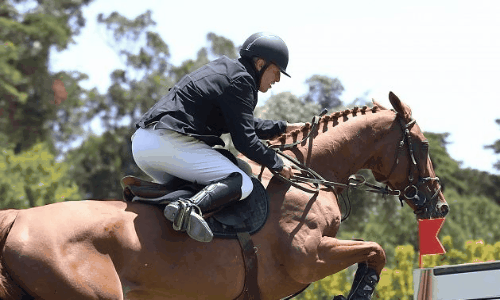 image tagged in gifs | made w/ Imgflip images-to-gif maker