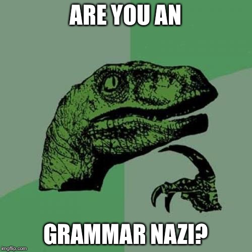 Philosoraptor Meme | ARE YOU AN GRAMMAR NAZI? | image tagged in memes,philosoraptor,the most interesting man in the world,brace yourselves x is coming,futurama fry,bad luck brian | made w/ Imgflip meme maker