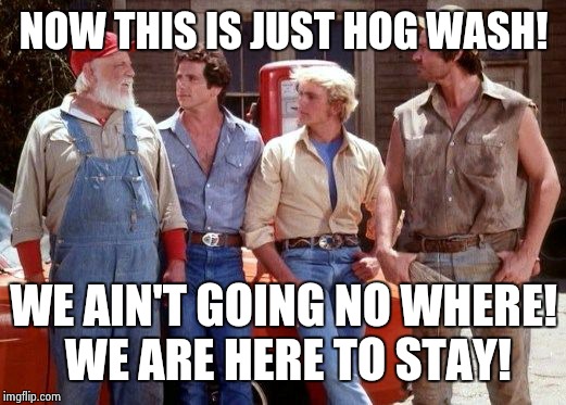 Dukes of Hazzard | NOW THIS IS JUST HOG WASH! WE AIN'T GOING NO WHERE! WE ARE HERE TO STAY! | image tagged in dukes of hazzard | made w/ Imgflip meme maker