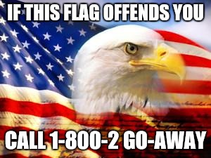 American Flag | IF THIS FLAG OFFENDS YOU CALL 1-800-2 GO-AWAY | image tagged in american flag | made w/ Imgflip meme maker