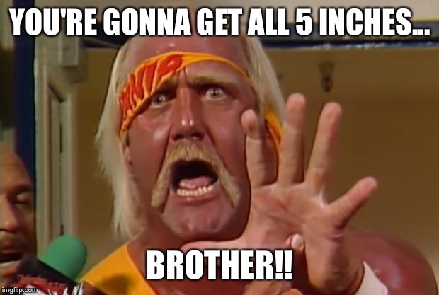 Hulk hogan | YOU'RE GONNA GET ALL 5 INCHES... BROTHER!! | image tagged in hulk hogan | made w/ Imgflip meme maker