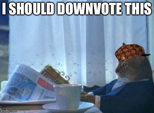 I Should Buy A Boat Cat | I SHOULD DOWNVOTE THIS | image tagged in memes,i should buy a boat cat,scumbag | made w/ Imgflip meme maker