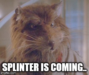 Splinter is coming.. | SPLINTER IS COMING.. | image tagged in splinter is coming | made w/ Imgflip meme maker