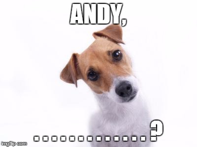 Confused Dog | ANDY, . . . . . . . . . . . . . ? | image tagged in confused dog | made w/ Imgflip meme maker