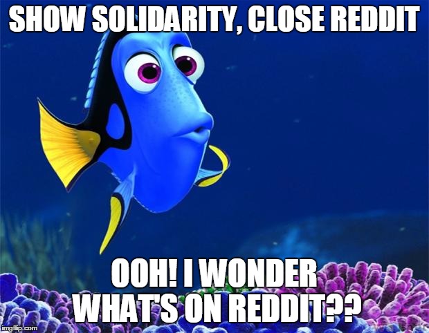 Dory | SHOW SOLIDARITY, CLOSE REDDIT OOH! I WONDER WHAT'S ON REDDIT?? | image tagged in dory | made w/ Imgflip meme maker