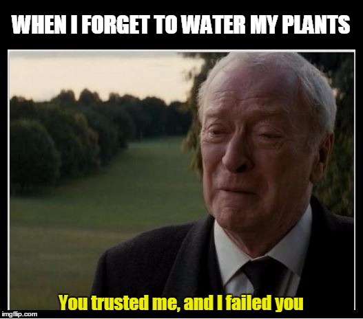 Summertime Alfred  | WHEN I FORGET TO WATER MY PLANTS You trusted me, and I failed you | image tagged in batman,alfred,gardening,funny,meme | made w/ Imgflip meme maker