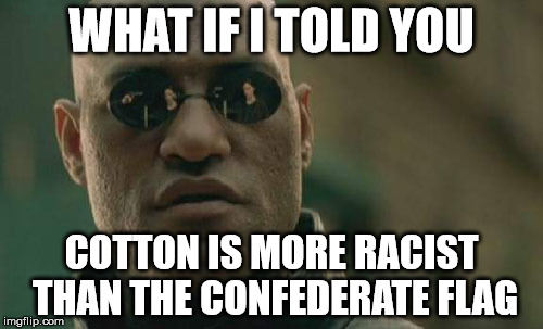 Matrix Morpheus Meme | WHAT IF I TOLD YOU COTTON IS MORE RACIST THAN THE CONFEDERATE FLAG | image tagged in memes,matrix morpheus | made w/ Imgflip meme maker