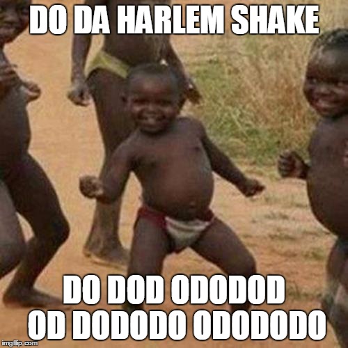 Third World Success Kid | DO DA HARLEM SHAKE DO DOD ODODOD OD DODODO ODODODO | image tagged in memes,third world success kid | made w/ Imgflip meme maker