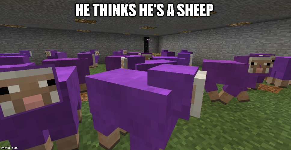 HE THINKS HE'S A SHEEP | made w/ Imgflip meme maker