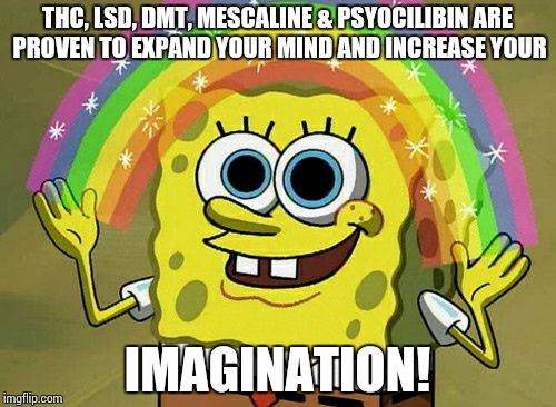 Imagination Spongebob Meme | THC, LSD, DMT, MESCALINE & PSYOCILIBIN ARE PROVEN TO EXPAND YOUR MIND AND INCREASE YOUR IMAGINATION! | image tagged in memes,imagination spongebob | made w/ Imgflip meme maker