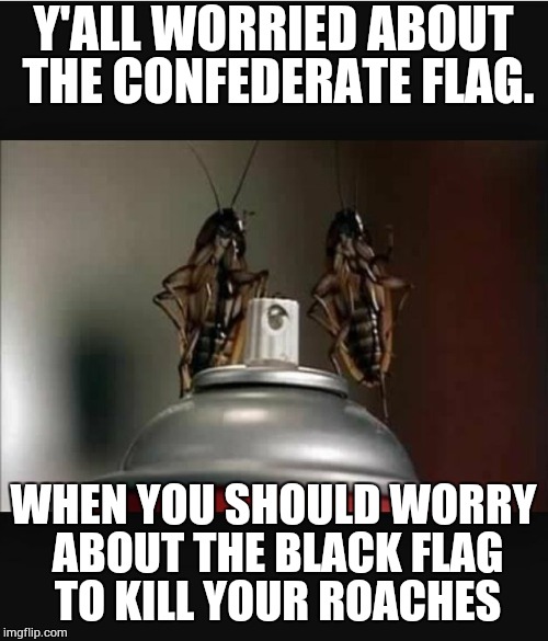 Y'ALL WORRIED ABOUT THE CONFEDERATE FLAG. WHEN YOU SHOULD WORRY ABOUT THE BLACK FLAG TO KILL YOUR ROACHES | image tagged in roach | made w/ Imgflip meme maker