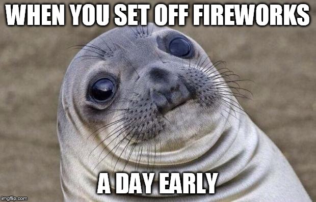 Awkward Moment Sealion Meme | WHEN YOU SET OFF FIREWORKS A DAY EARLY | image tagged in memes,awkward moment sealion | made w/ Imgflip meme maker