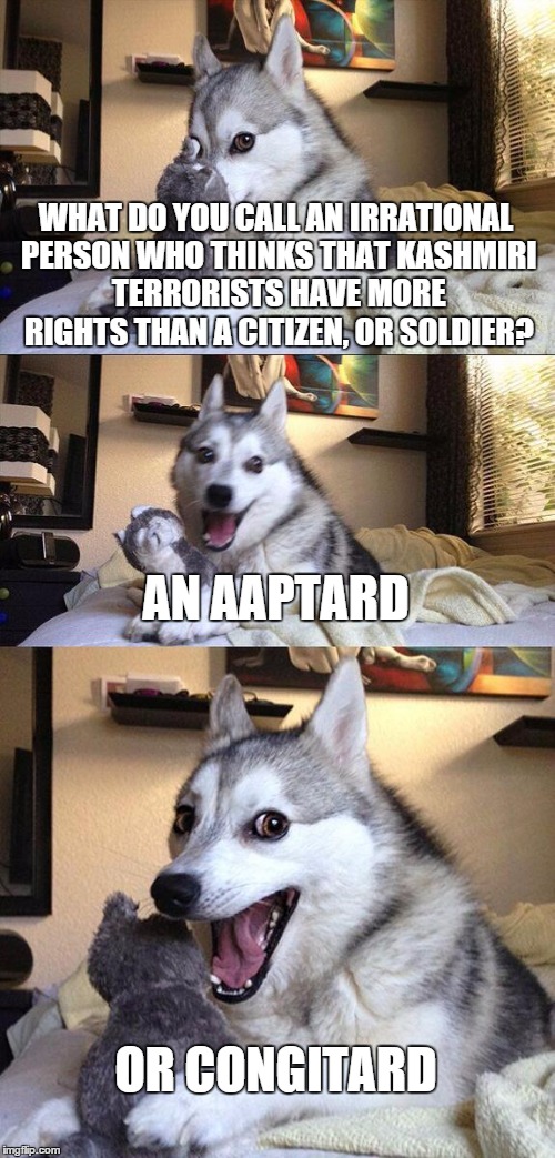 Bad Pun Dog Meme | WHAT DO YOU CALL AN IRRATIONAL PERSON WHO THINKS THAT KASHMIRI TERRORISTS HAVE MORE RIGHTS THAN A CITIZEN, OR SOLDIER? AN AAPTARD OR CONGITA | image tagged in memes,bad pun dog | made w/ Imgflip meme maker