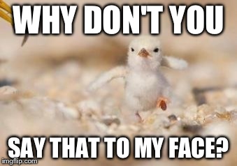 Cute Baby Chick | WHY DON'T YOU SAY THAT TO MY FACE? | image tagged in cute baby,chicken,say that again i dare you,say that again,come at me bro | made w/ Imgflip meme maker