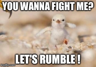 Baby Chicken Come at Me  | YOU WANNA FIGHT ME? LET'S RUMBLE ! | image tagged in gangster baby,no bullshit business baby,chicken,royal rumble,come at me bro | made w/ Imgflip meme maker