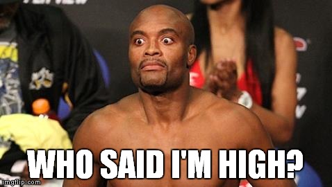 WHO SAID I'M HIGH? | image tagged in high who's high | made w/ Imgflip meme maker