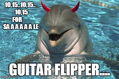 Dolphin | 10,15..10,15..  10,15  FOR






 SA A A A A A LE GUITAR FLIPPER.... | image tagged in dolphin | made w/ Imgflip meme maker
