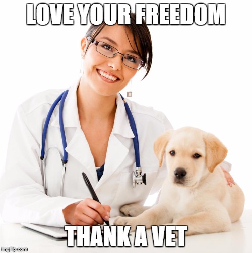 LOVE YOUR FREEDOM THANK A VET | image tagged in AdviceAnimals | made w/ Imgflip meme maker