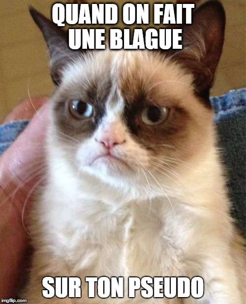 Grumpy Cat Meme | QUAND ON FAIT UNE BLAGUE SUR TON PSEUDO | image tagged in memes,grumpy cat | made w/ Imgflip meme maker