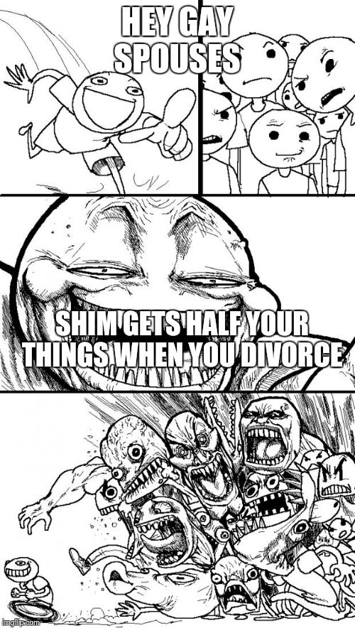 not to  mention those inflated attorney fees | HEY GAY SPOUSES SHIM GETS HALF YOUR THINGS WHEN YOU DIVORCE | image tagged in memes,hey internet | made w/ Imgflip meme maker