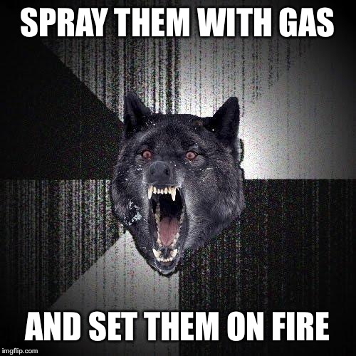 Insanity Wolf | SPRAY THEM WITH GAS AND SET THEM ON FIRE | image tagged in insanity wolf | made w/ Imgflip meme maker