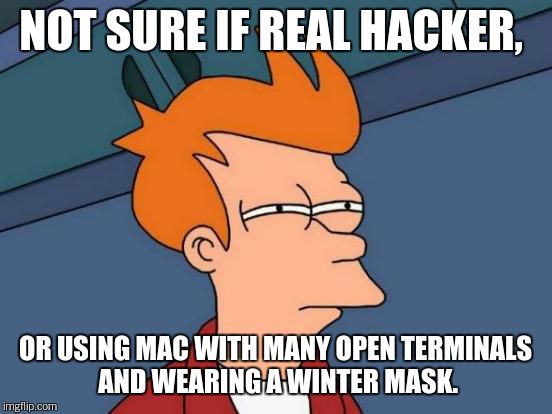 Futurama Fry Meme | NOT SURE IF REAL HACKER, OR USING MAC WITH MANY OPEN TERMINALS AND WEARING A WINTER MASK. | image tagged in memes,futurama fry | made w/ Imgflip meme maker