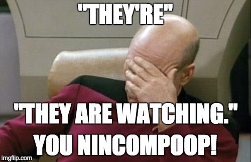 Captain Picard Facepalm Meme | "THEY'RE" YOU NINCOMPOOP! "THEY ARE WATCHING." | image tagged in memes,captain picard facepalm | made w/ Imgflip meme maker
