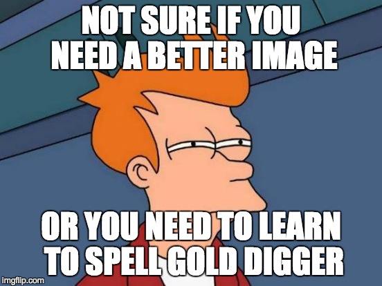 Futurama Fry Meme | NOT SURE IF YOU NEED A BETTER IMAGE OR YOU NEED TO LEARN TO SPELL GOLD DIGGER | image tagged in memes,futurama fry | made w/ Imgflip meme maker