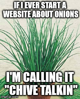 Chives are onion grass! | IF I EVER START A WEBSITE ABOUT ONIONS I'M CALLING IT "CHIVE TALKIN" | image tagged in chives | made w/ Imgflip meme maker