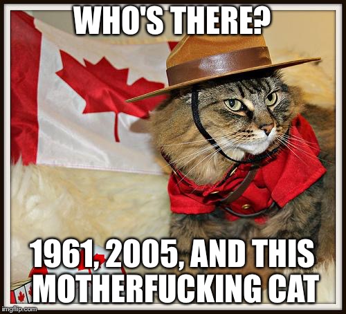 Canada Cat | WHO'S THERE? 1961, 2005, AND THIS MOTHERF**KING CAT | image tagged in canada cat | made w/ Imgflip meme maker